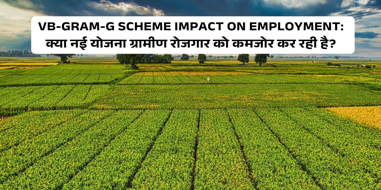 VB-GRAM-G Scheme Impact on Employment